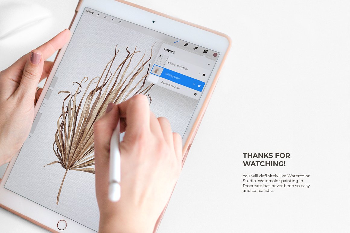 Procreate笔刷：水彩插图绘画笔刷（4569） -