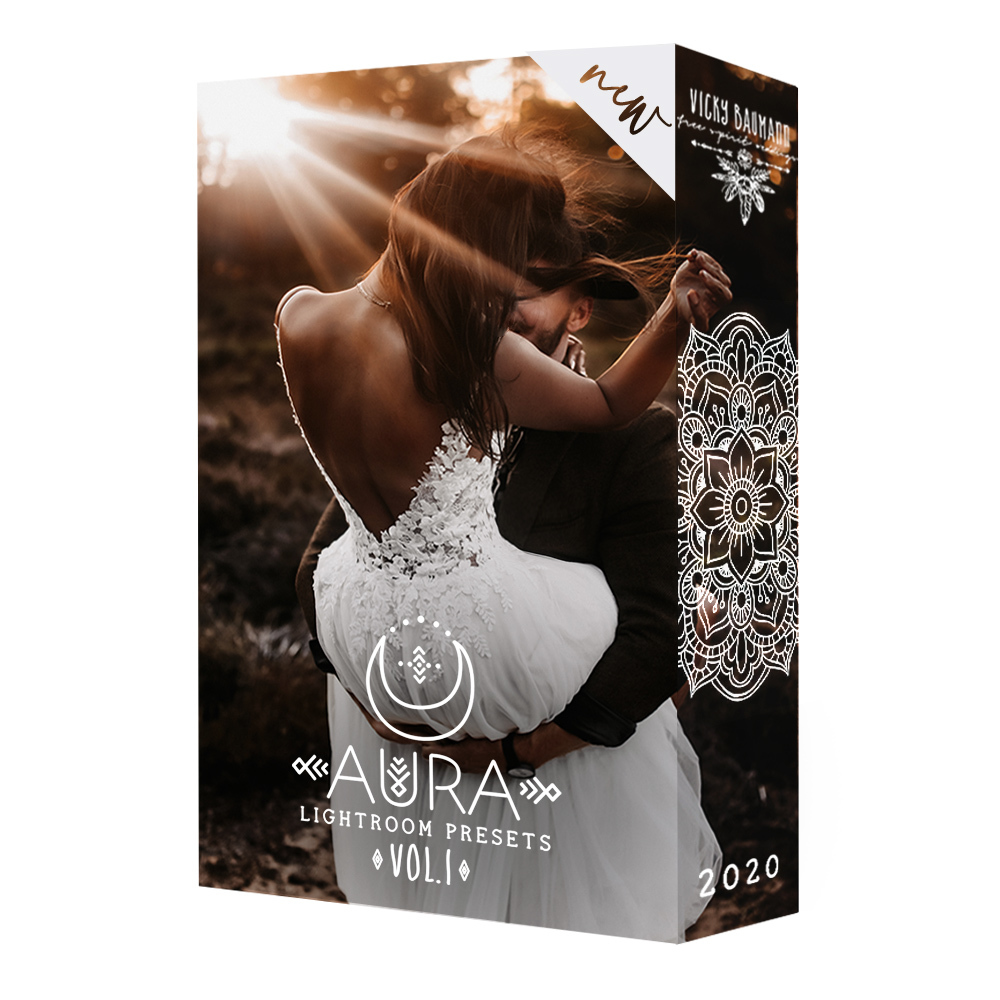 AURA Presets Vol 光环预设+画笔+纹理（2723） -