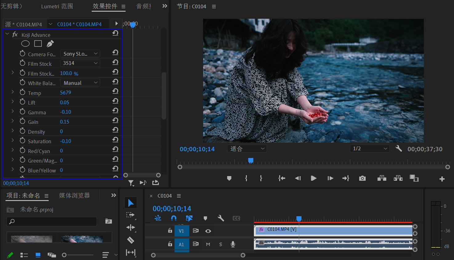 Koji Color Film Color LUT for Premiere、FCPX、Ae 真实电影胶片颜色模拟插件Koji Advance -