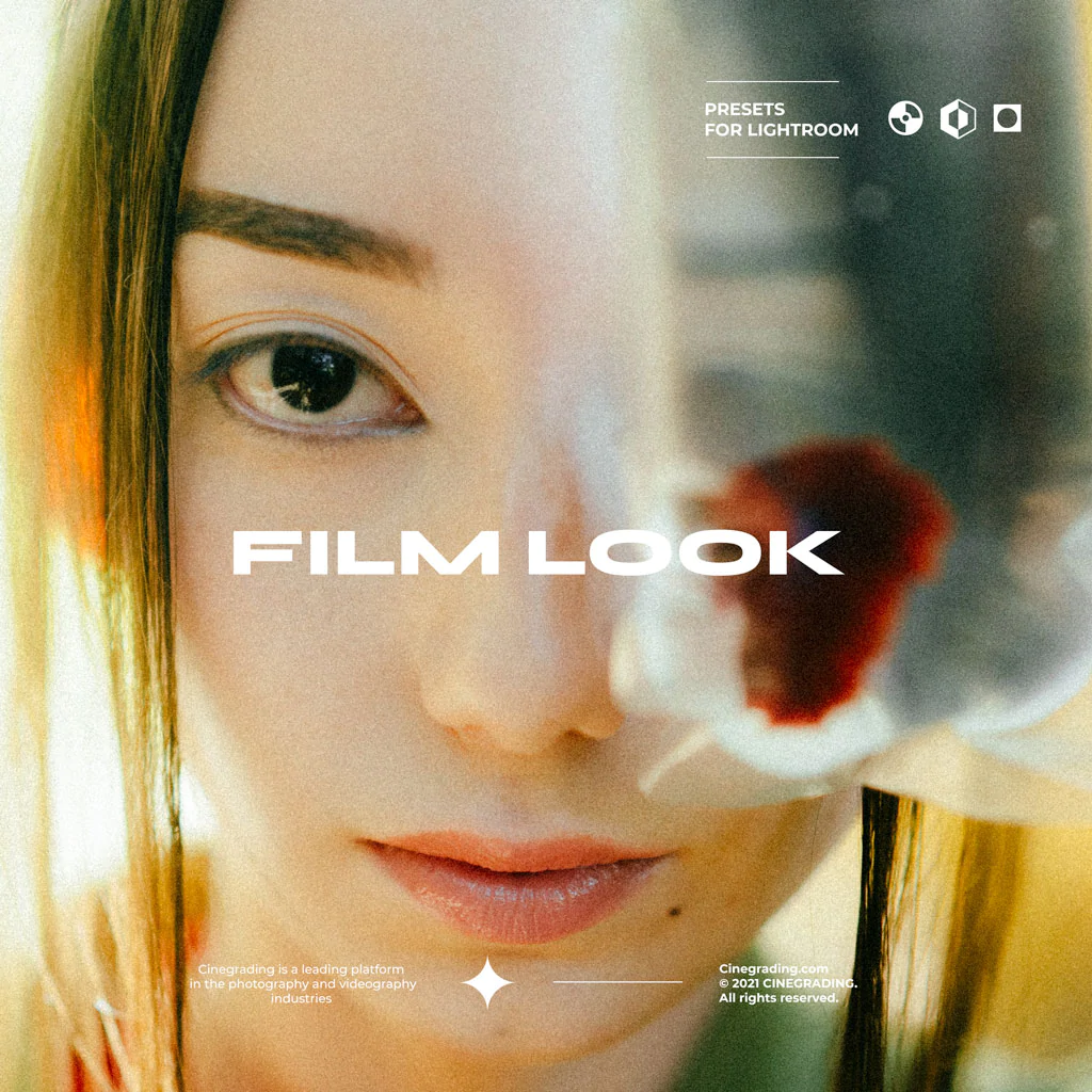 +CINE FILMX PRESETS & ACTION 电影胶片彩色负片预设人像风光城市人文扫街LR预设和动作 -