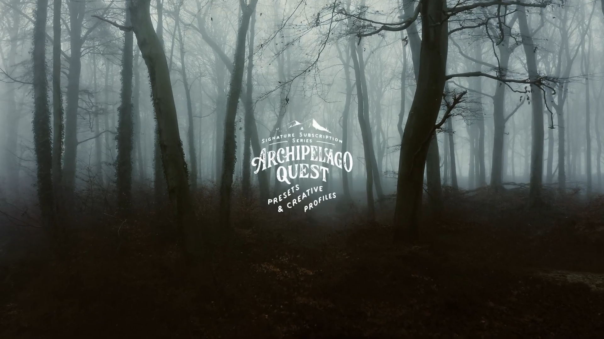 Archipelago - Quest 20 • Orphic LR/ACR Presets + Profiles & AI Toolset -