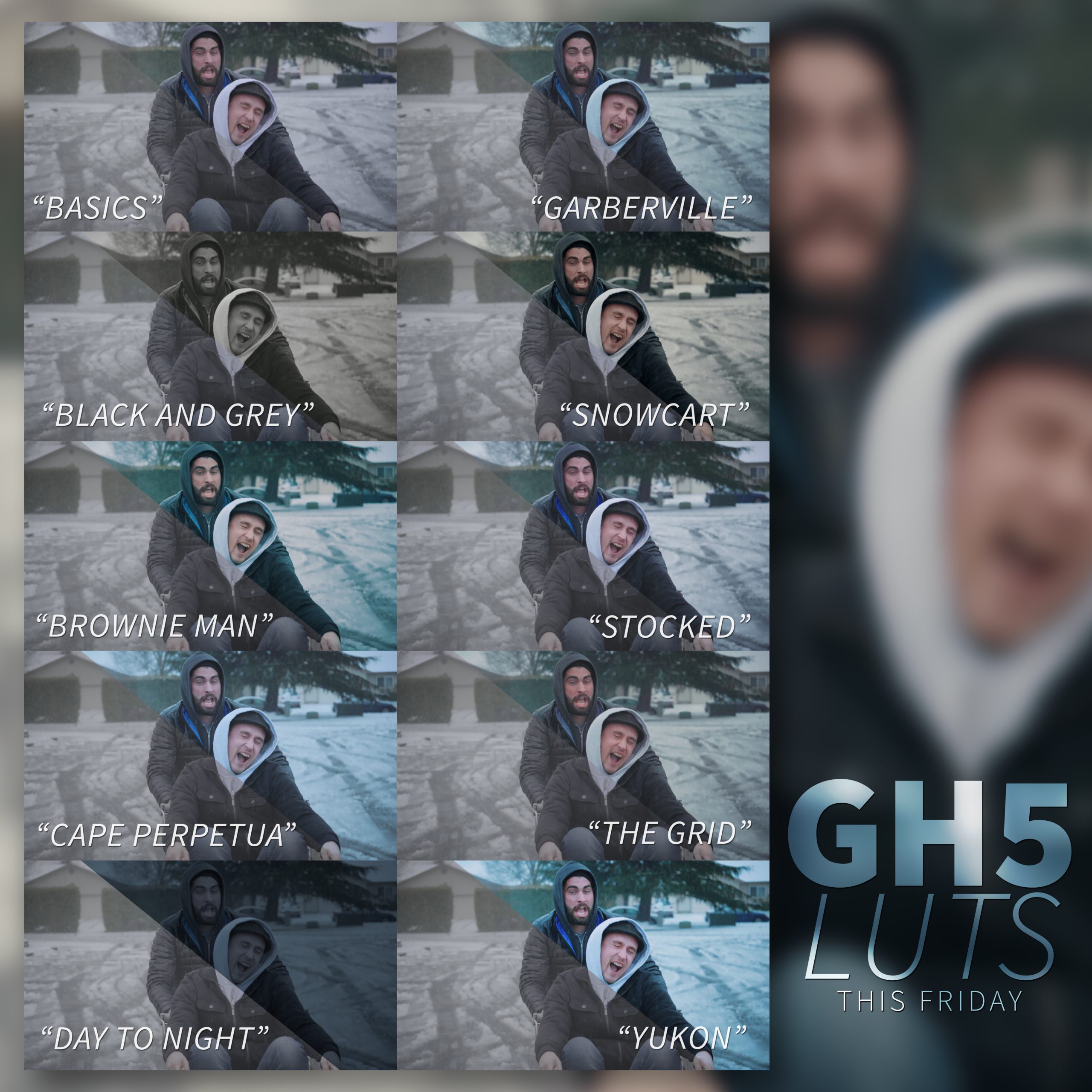 Lumix GH5 LUTs 松下 GH5 LUT 用于 VLogL, Cinelike D, Cinelike V, Natural,Portait -