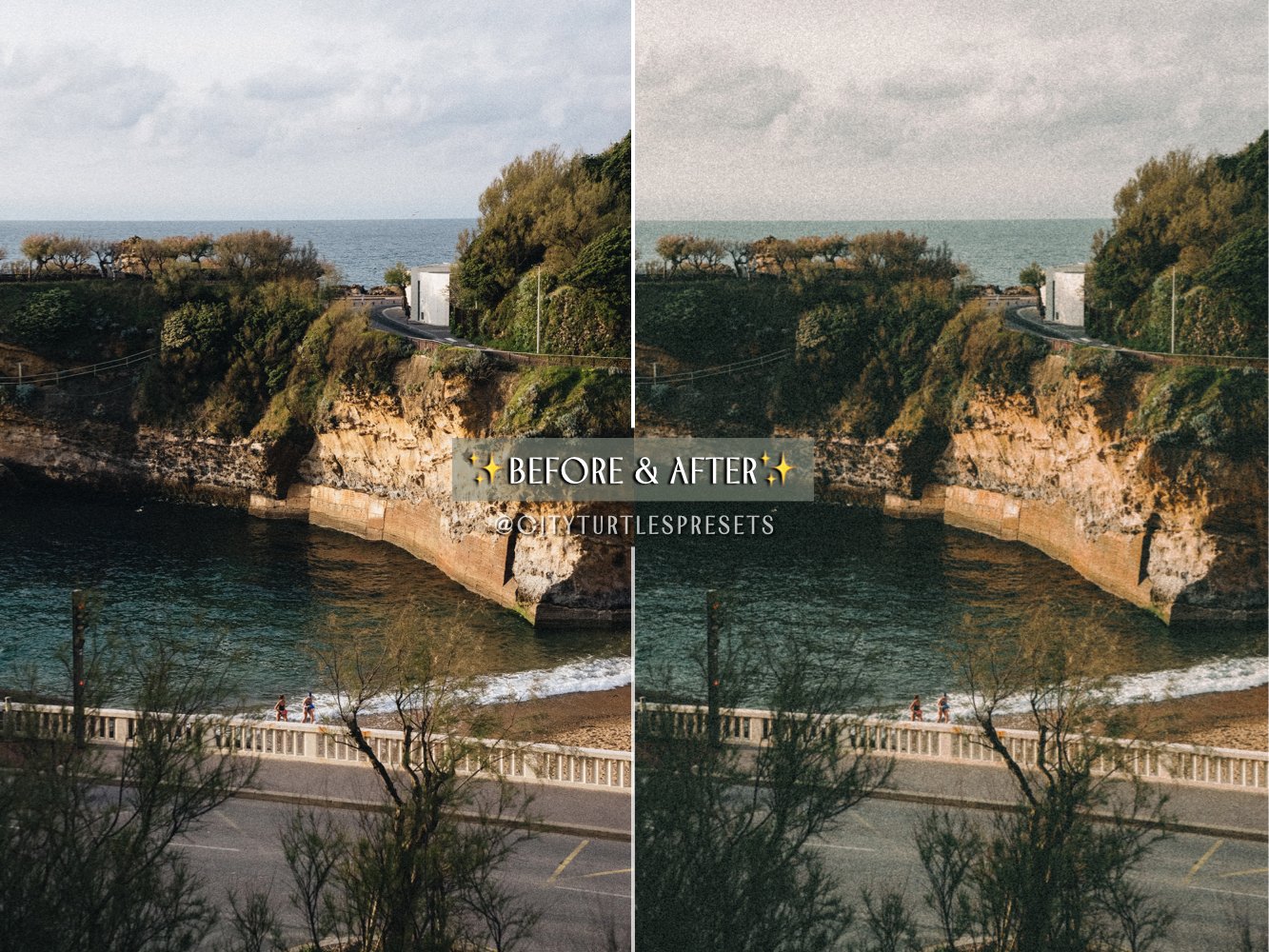 INSTANT FILM Retro Lightroom Presets 复古胶片颗粒色彩 人像、婚礼、家庭、旅行生活方式LR预设 -