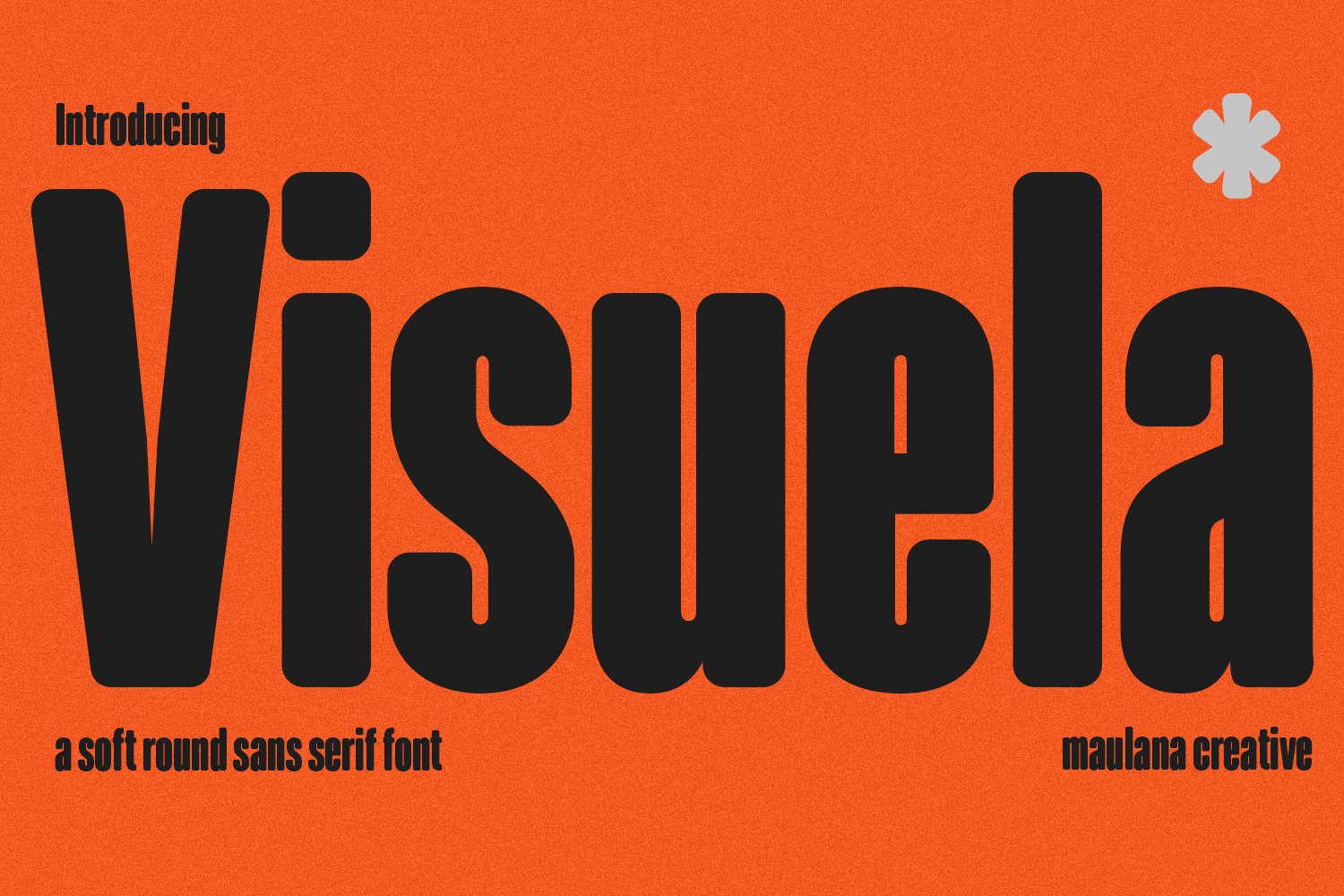 Visuela Sans Display Font 现代干净柔软的圆形无衬线字体 -