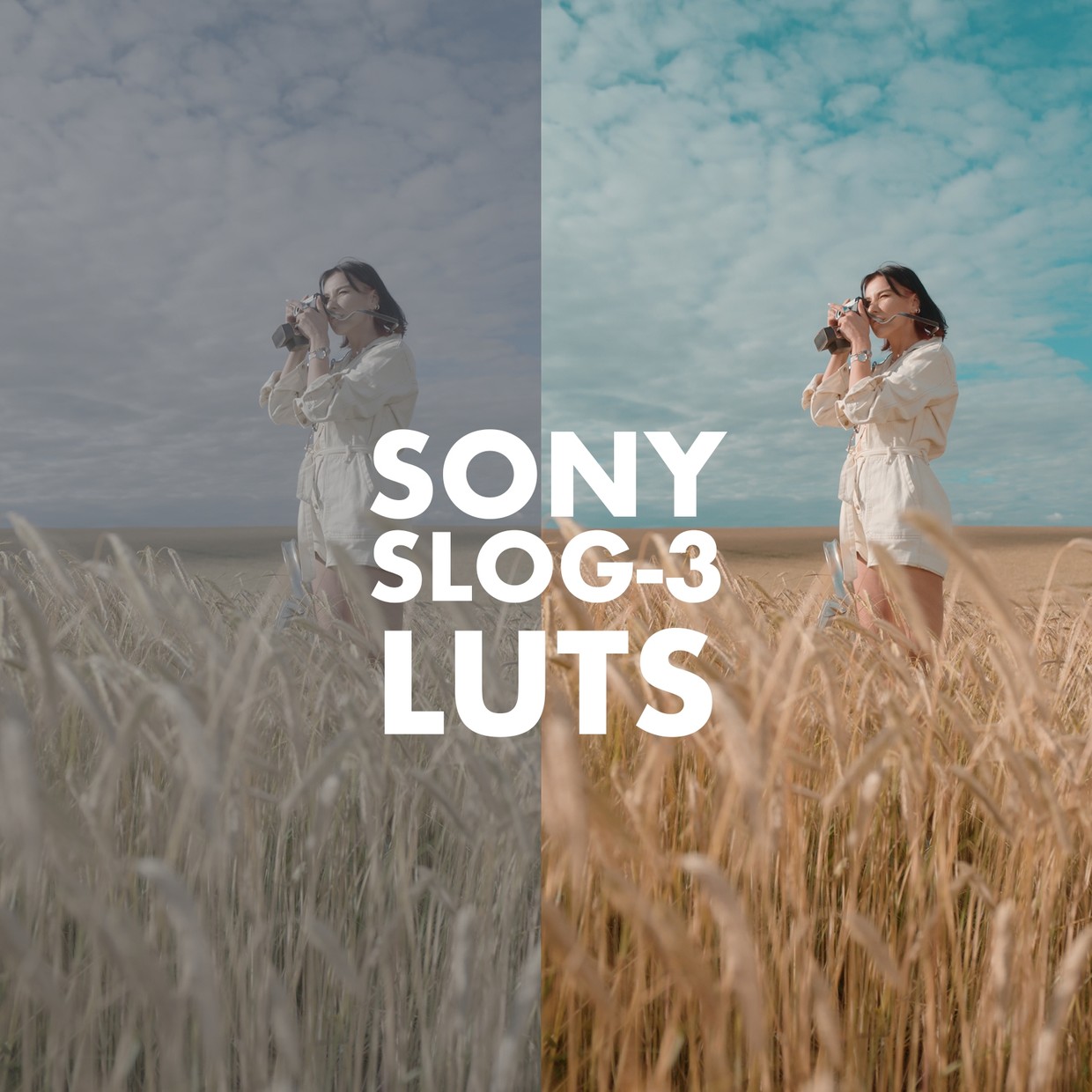 Alexandru Don 21个新索尼LUTs电影感商业级外观颜色分级 肤色版 SONY SLOG 3 LUTS - SKINTONE EDITION -