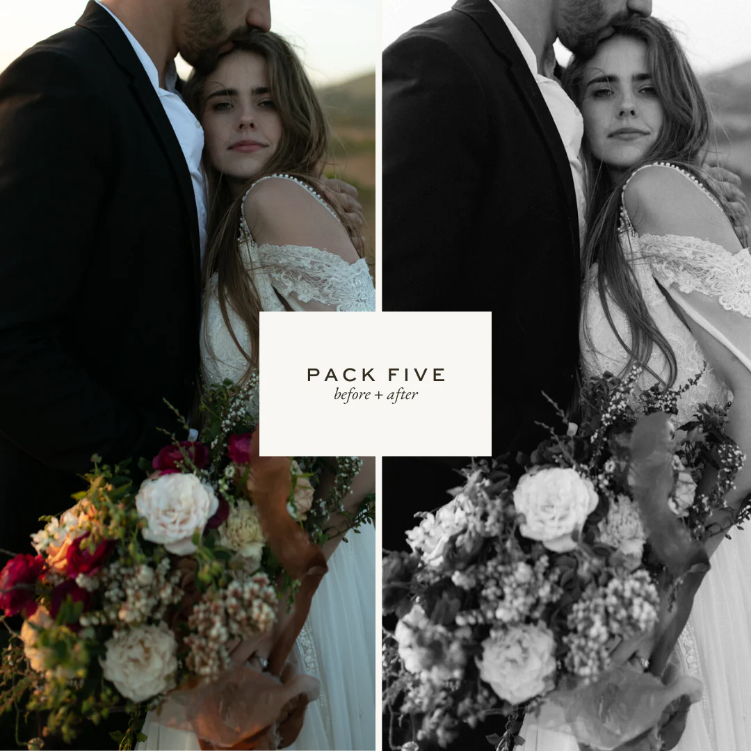 DC Presets Pack Five 永恒与自然清晰高光朦胧奶油色婚礼Lightroom预设 -