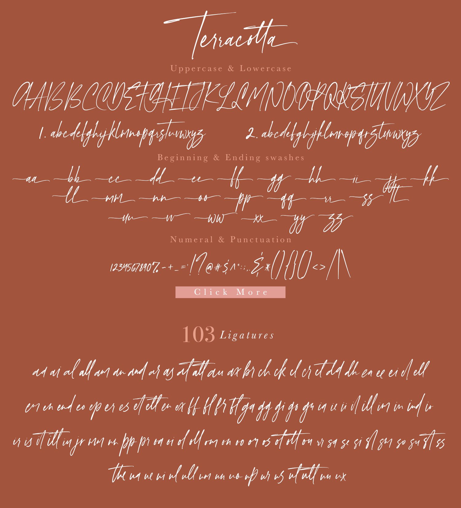 Teracotta - Handwritten Font 手写签名风格时尚婚礼请帖、社交媒体、LOGO、婚礼、品牌、平面设计字体 -