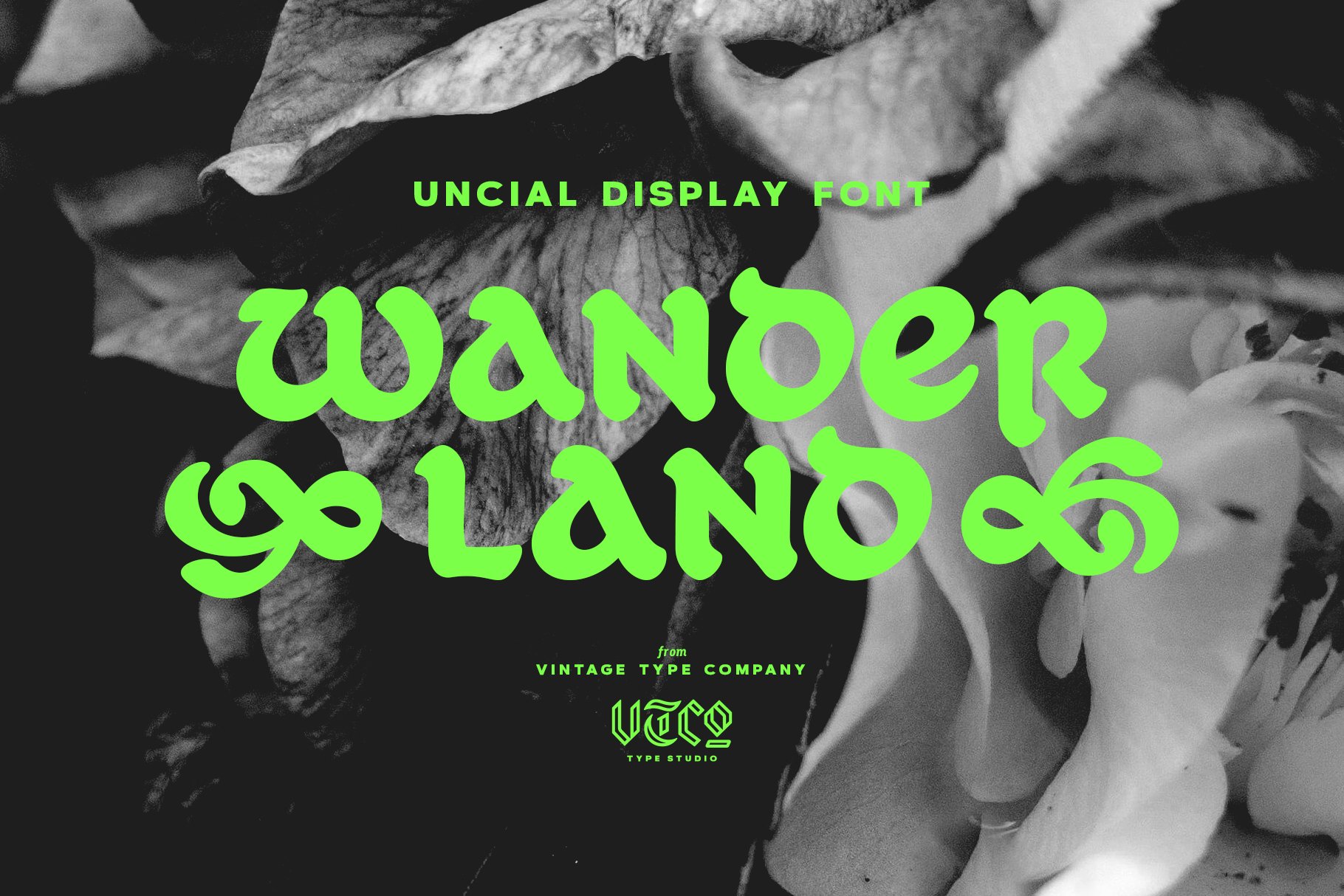 Wanderland Display Font 复古标牌品牌和标志设计封面设计视频标题渗墨美感现代装饰字体 -