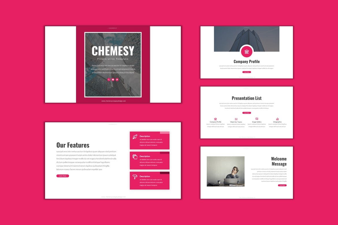 商业宣传推广PowerPoint模板 Chemesy &#8211; Business Powerpoint Template