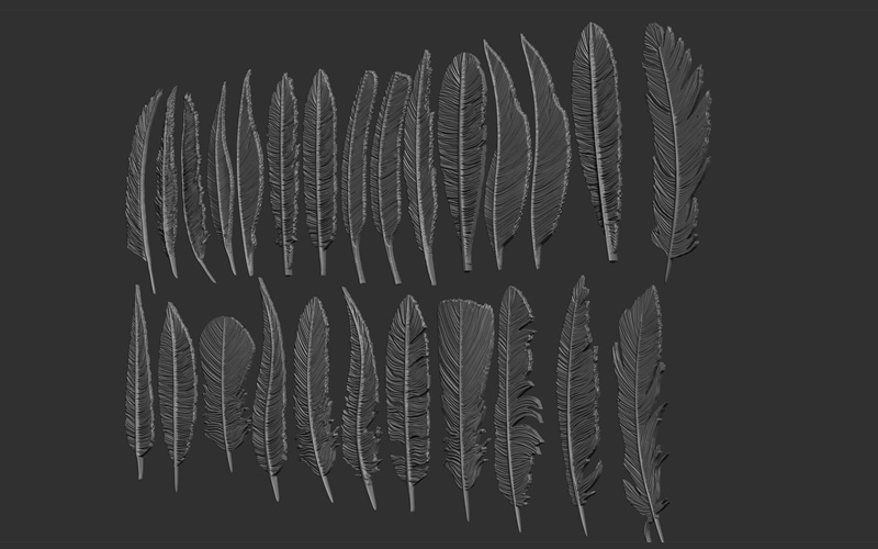 ZBrush鸟类翅膀羽毛羽翼3D模型鸟类动物翅膀羽毛羽翼细节ZTL模型_