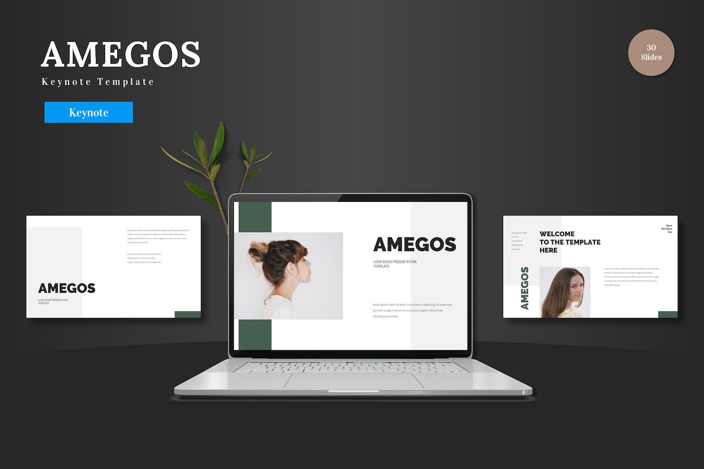 个人设计师/产品设计主题演讲Keynote模板 Amegos &#8211; Keynote Template