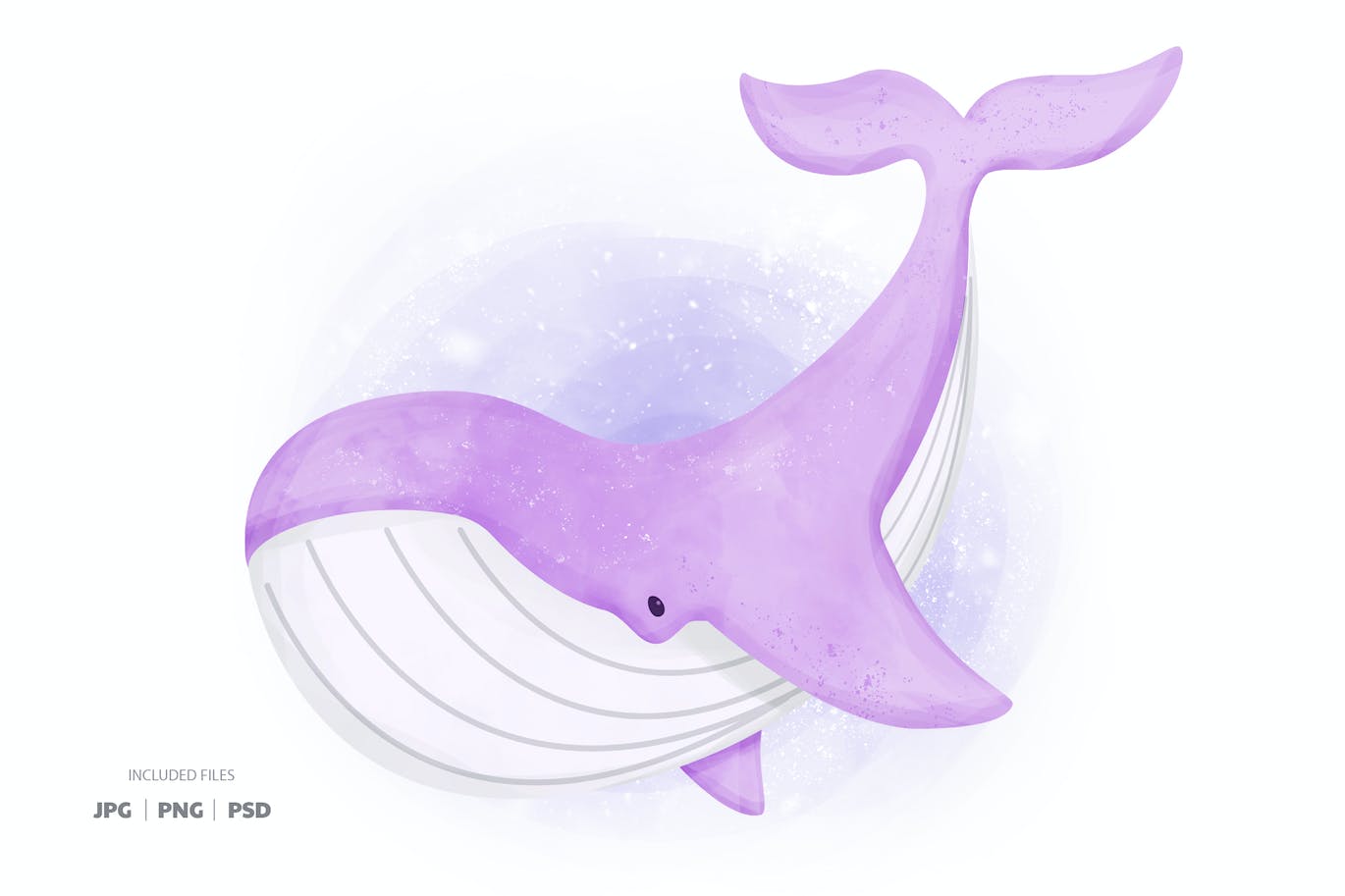 异想天开的鲸鱼矢量图形素材 Whimsical Whale