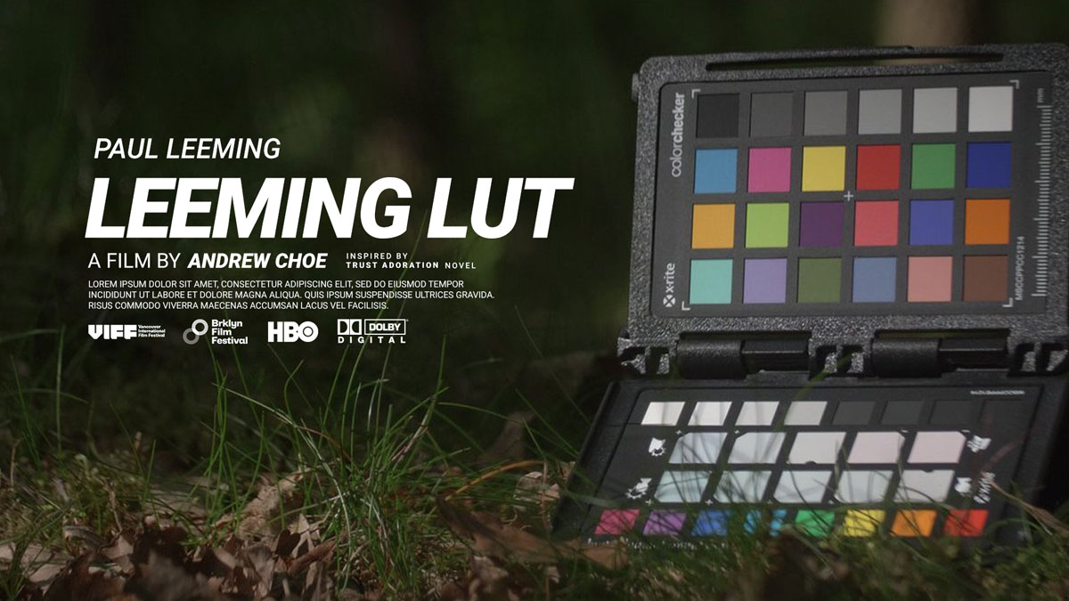 Leeming LUT Pro 索尼富士松下DJI大疆BMPCC灰片色彩校正还原LUT预设套装 -