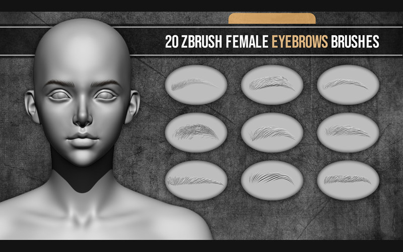 ZBrush女性眉毛眉形剑眉VDM笔刷柳叶一字眉人物眉毛雕刻zb笔刷_