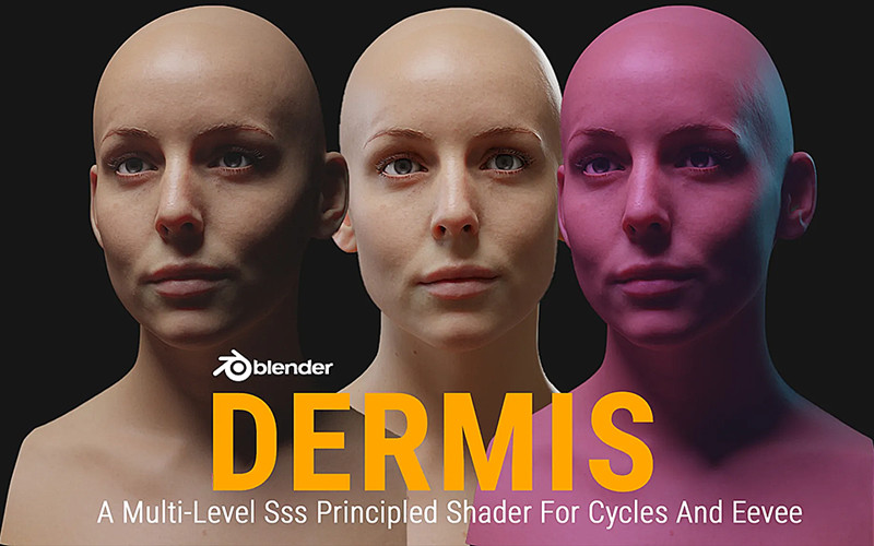 【Blender预设】Dermis Shader V1.1 真实皮肤着色器预设_