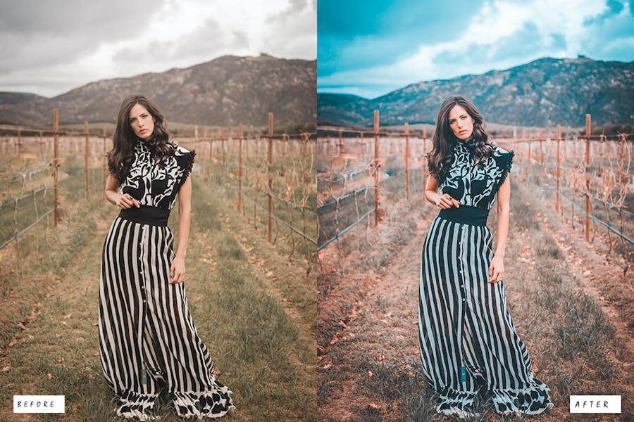 12组时尚复古颗粒感电影婚礼博主摄影照片调色Lightroom预设 12 Vibrant and Grainy Lightroom Presets - —