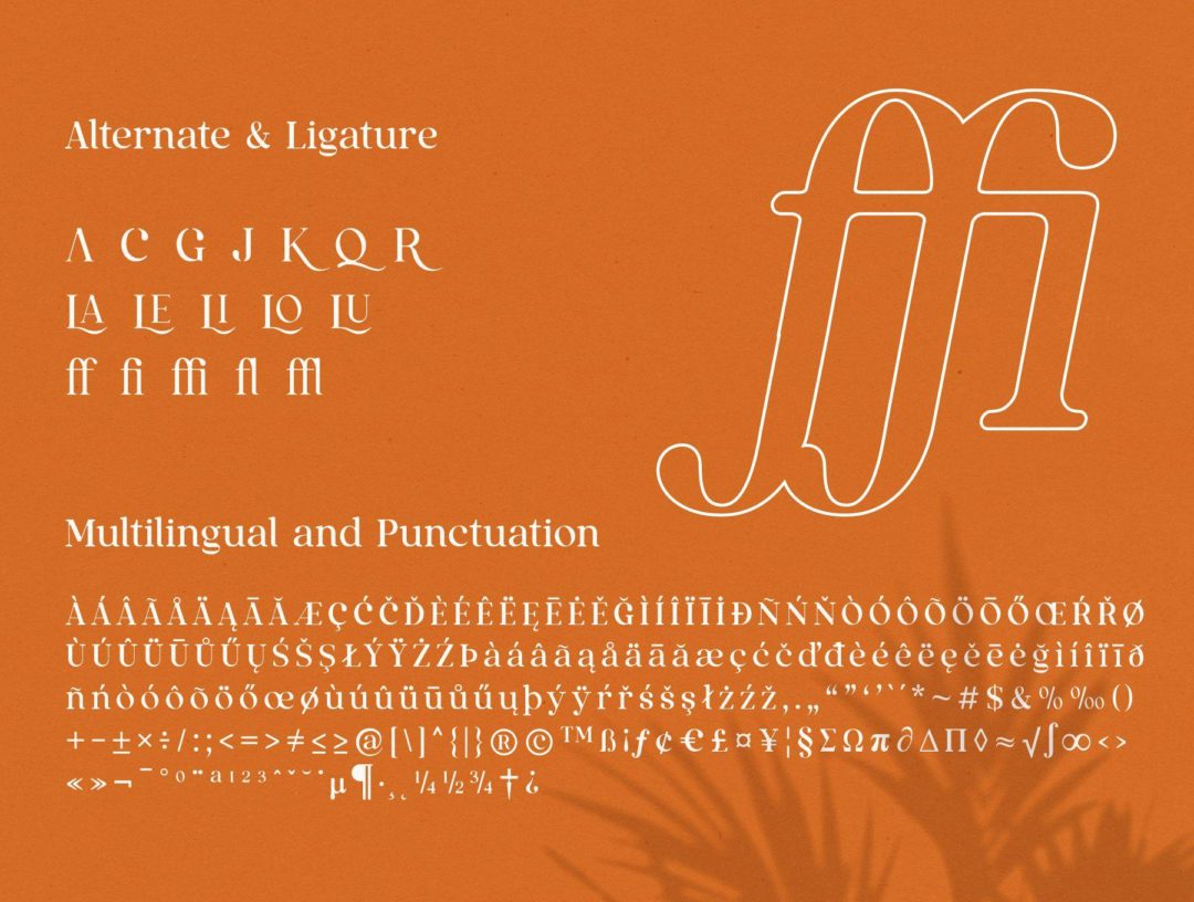 复古奢华杂志海报标题品牌徽标LOGO设计PS衬线英文字体安装包 Qualux Fonts Family - —