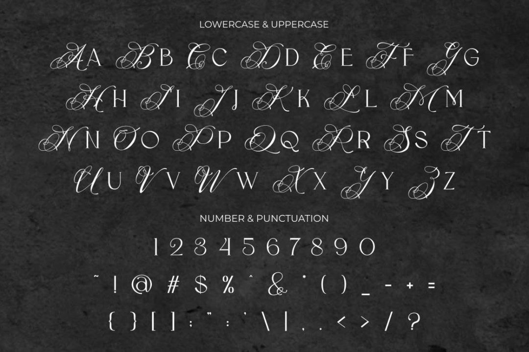 现代奢华杂志婚礼邀请函标题徽标LOGO设计衬线英文字体安装包 Flece Display – Modern Sans Font - —