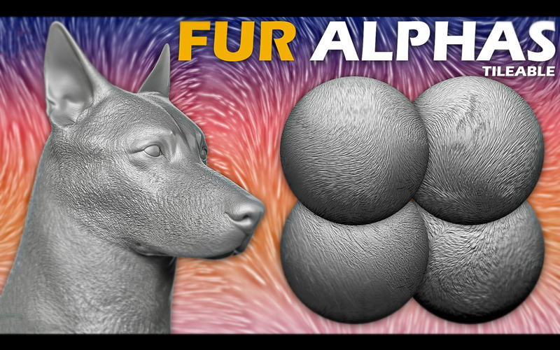 ZBrush狼狗动物毛皮毛发Alpha笔刷猫狗狼生物毛皮细节雕刻zb笔刷_