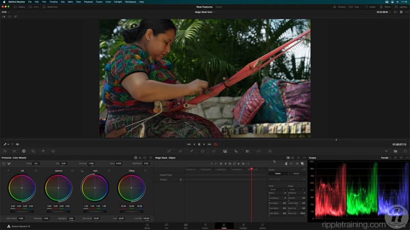 达芬奇17/18零基础入门到精通教程高级调色课程 RippleTraining - Advanced Color Grading in DaVinci Resolve（10081） -