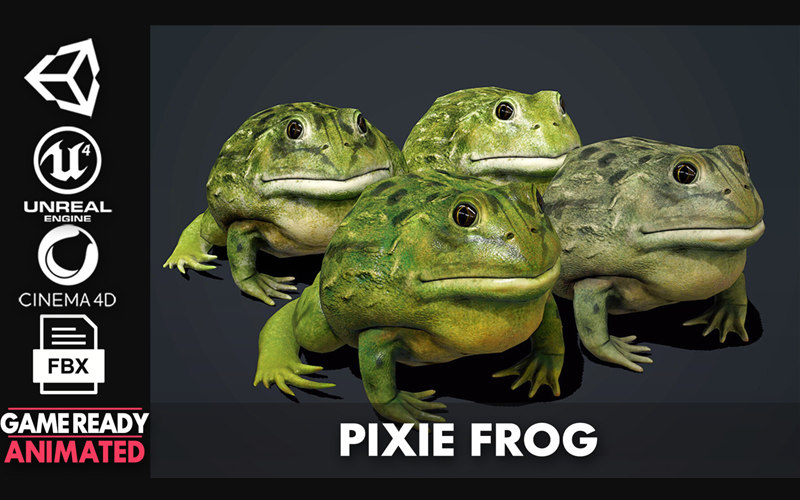 低多边形小精灵青蛙3D模型 Pixie Frog &#8211; Game Ready_