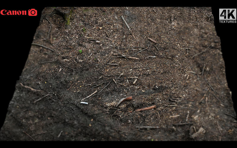 烧毁森林地面3D扫描模型 burned forest ground photogrammetry_