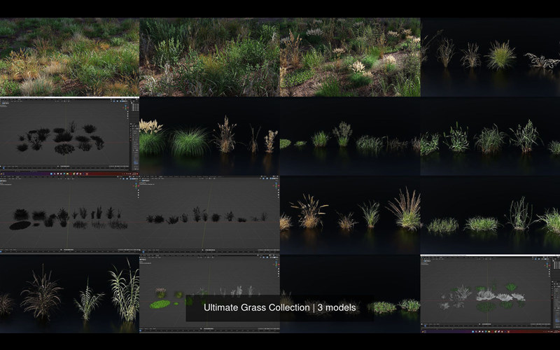终极草系列3D资产 Ultimate Grass Collection_