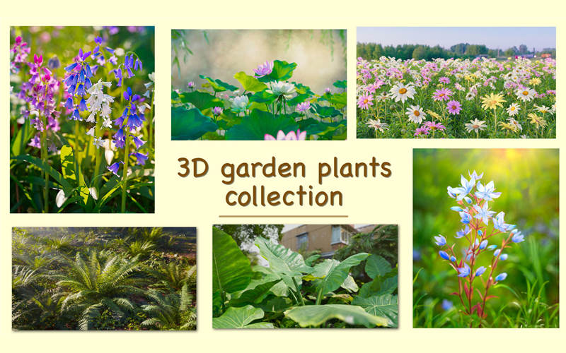 花园植物系列3D模型 3D garden plants collection vol01_