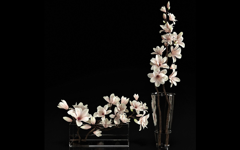 木兰花两个花瓶3D模型 Magnolia 2 3D model_