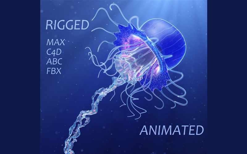 水母逼真的绑定动画3D模型 Jellyfish Realistic rigged animated 3D model_