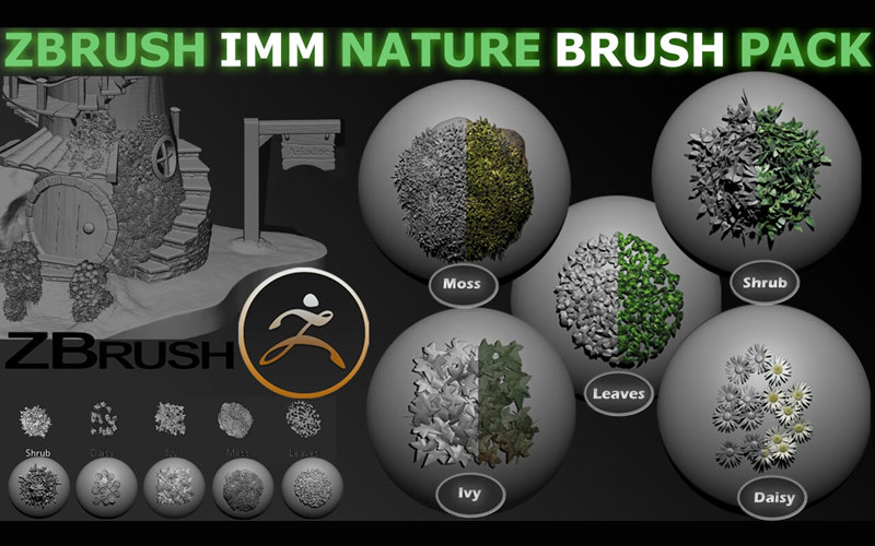 ZBrush常春藤苔藓叶子灌木IMM笔刷植物苔藓树叶花卉雕刻zb笔刷_