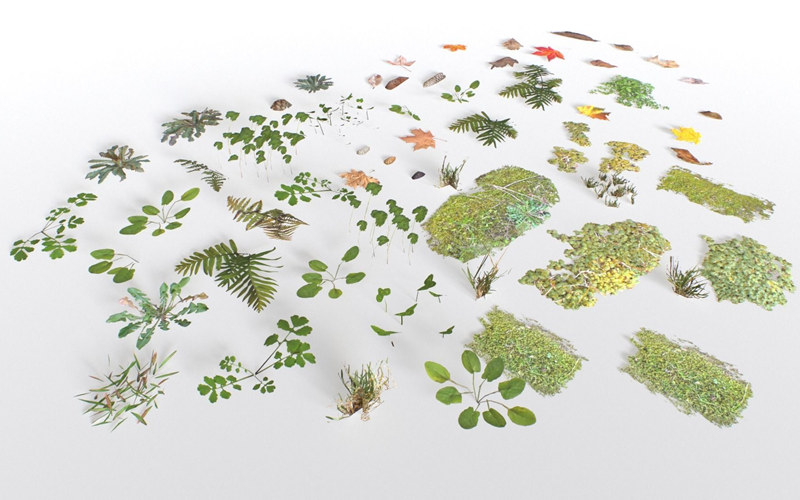 地面覆盖树叶低多边形3D模型 Ground Cover Foliage Low-poly 3D model_