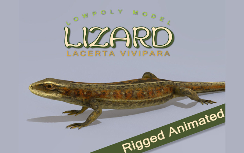 蜥蜴拉塞塔维维帕拉3D模型 Lizard Lacerta Vivipara Low-poly 3D model_