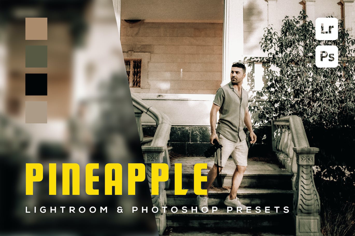 6个生活系列照片Lightroom和Photoshop预设 6 Pineapple Lightroom and Photoshop Presets