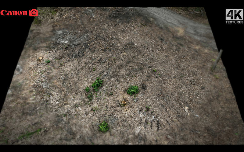 地面砍伐树木碎屑3D扫描模型 forrest ground cutted trees photogrammetry_