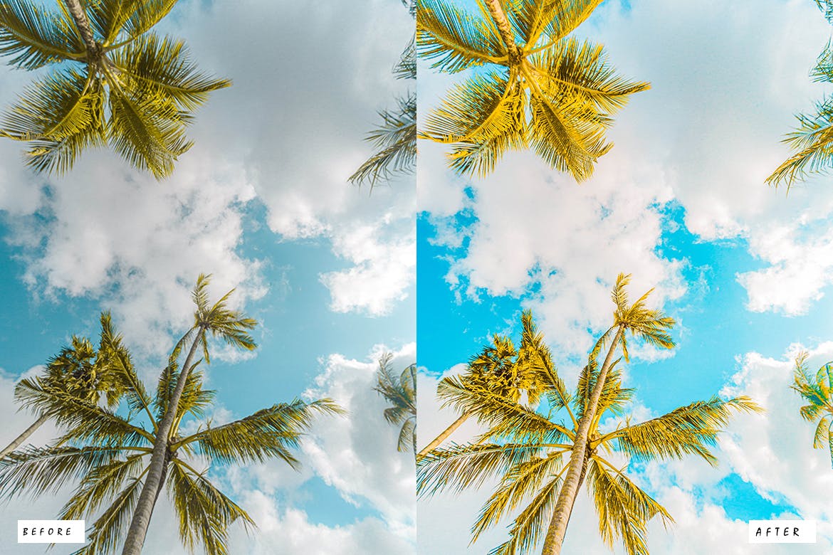 15个热带夏季LR预设 15 Tropical Premium Lightroom Presets