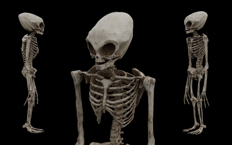 人形外星人骨架3D模型 Humanoid Alien Skeleton Low-poly 3D model_