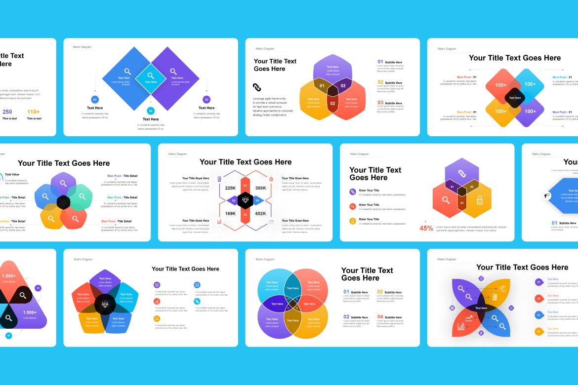 维恩图信息图表模板 Venn Diagram Infographic Asset Illustrator