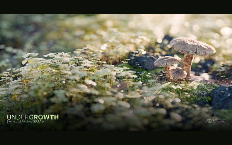 【Blender预设】Undergrowth | Asset Library 灌木丛模型资产库_