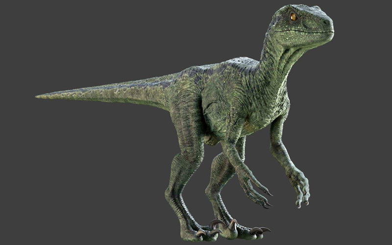 Maya迅猛龙恐龙3D模型 Raptor Maya Rig_